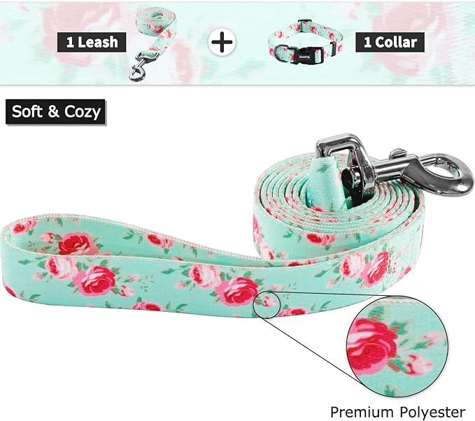 Ihoming Puppy Collar and Leash Set for Daily Outdoor Walking Running Training, Floral Spring Design for Extra Small Boys Girls Dogs Cats Pets, XS-Up to 10LBS Ihoming