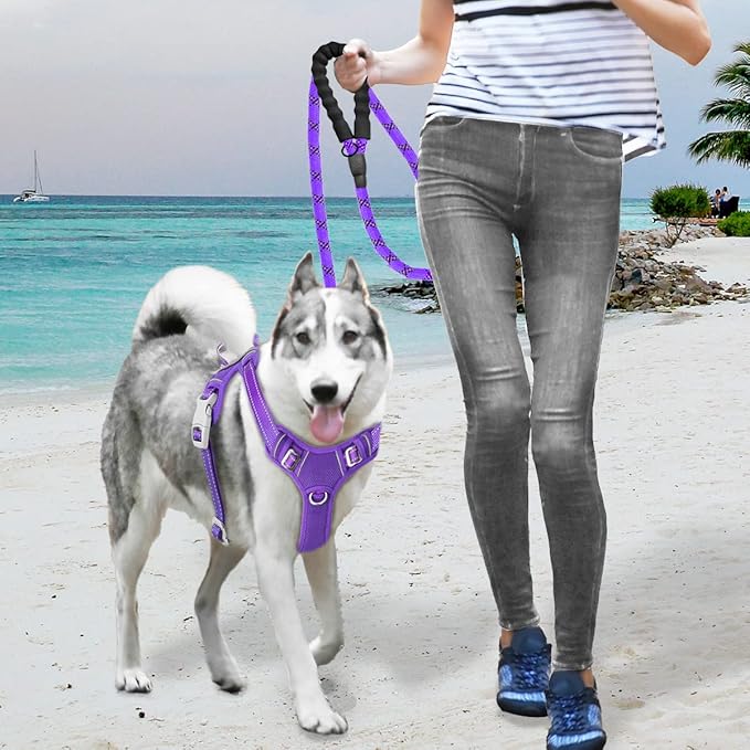 BARKBAY No Pull Dog Harness Large Reflective Dog Harness with Front Clip and Easy Control Handle for Walking Training Running with ID tag Pocket(Purple,S) BARKBAY