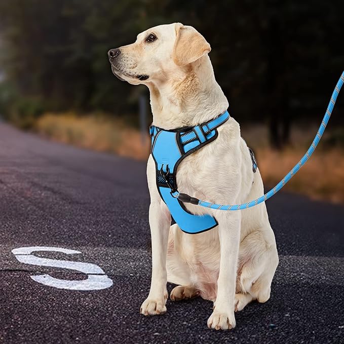 IVY&LANE No Pull Dog Harness for Large Dogs, Dog Vest Harness with Leash, Safety Belt and Storage Strap, Fully Adjustable Harness, 360° Reflective Strip, Soft Handle (Blue, L) IVYLANE