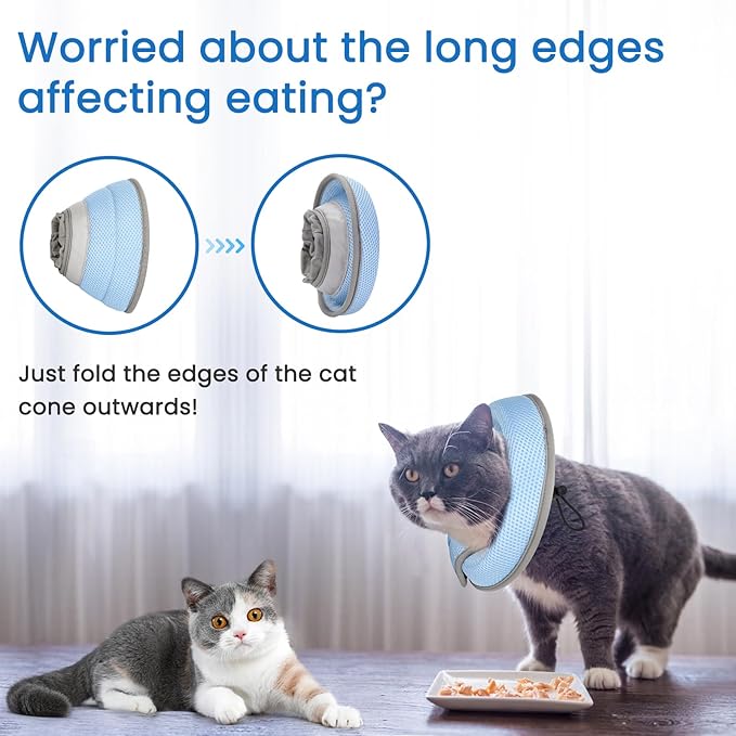 Cat Cone Collar Soft, Cat Recovery Collar Stop Licking After Surgery, Kitten Elizabethan Collar, Adjustable, Lightweight, Comfortable - Blue, M IDOGCHEW