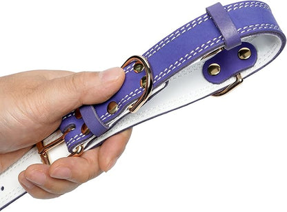 Genuine Leather Dog Collar, Heavy Duty Dog Collar, Wide Dog Collar for Small Dog, Medium Dog, Large Dog and Extra Large Dog (M: 1" Wide for 15.2"-19.2" Neck, Dual Stitch - Purple) DAIHAQIKO