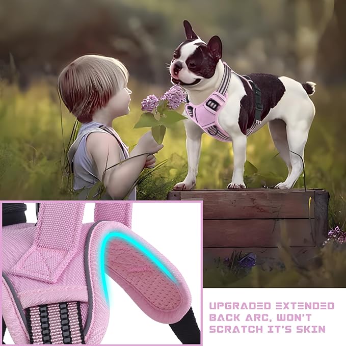 BUMBIN Dog Harness for Large Dogs, No Pull Adjustable No Choke Pet Vest with Dog Leash Fit Smart Reflective Pet Walking Harness for Training Easy Control Soft Handle Pink M BUMBIN