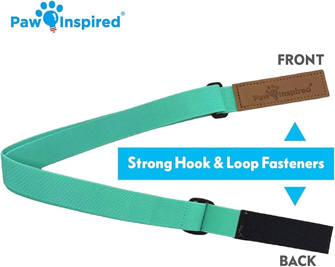 Paw Inspired Dog Diaper Suspenders with Velcro Fasteners | Stretchy Adjustable Suspenders for Female and Male Disposable and Washable Diapers | Fits Small, Medium and Large Size Pets (M/L, Aqua) - PAWPICO