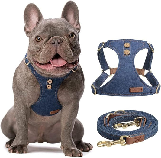 No Pull xs Dog Harness with Multifunction Dog Leash,Soft Adjustable No Choke Escape Proof Pet Harness Vest,Denim Blue,XXS Puppytie