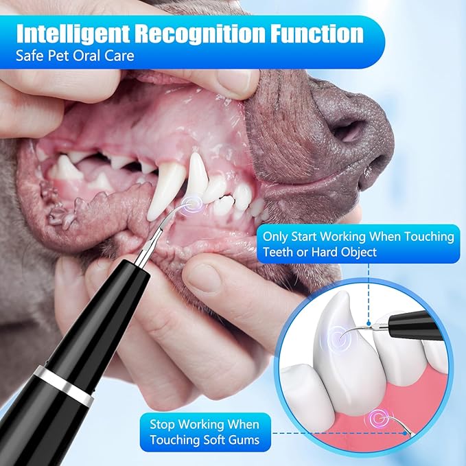 Dog Plaque Remover for Teeth, Dog Teeth Cleaning Kit with LED Light and 5 Modes for Dogs and Cats,Black MIONJO