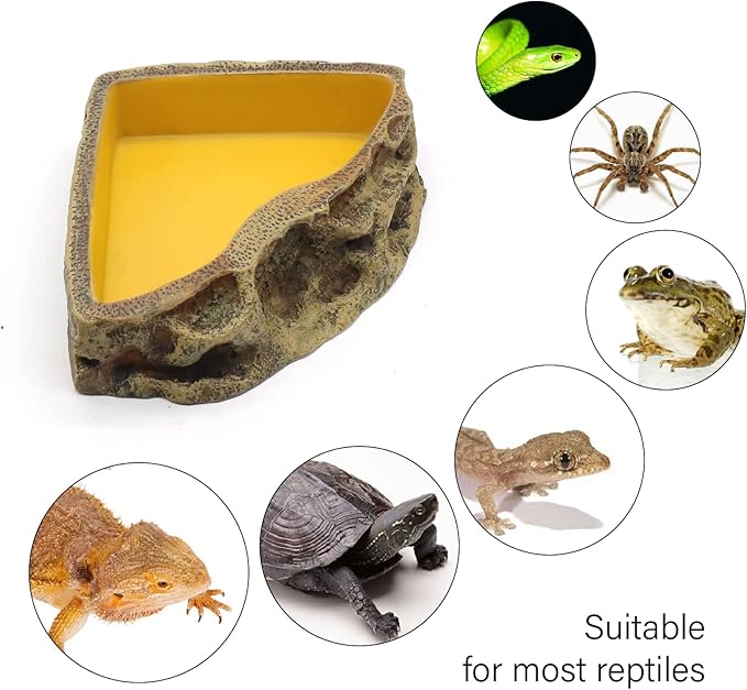 Reptile Feeder Resin Bowl Amphibian Reptile Bowl for Reptile Lizard Gecko Bearded Dragon Turtle relaqcc