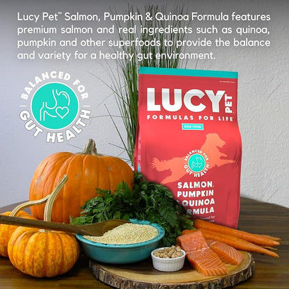 Lucy Pet Formulas for Life Salmon, Pumpkin, & Quinoa Dry Dog Food, All Life Stages, Digestive Health, Sensitive Stomach & Skin, 12lb bag - PAWPICO