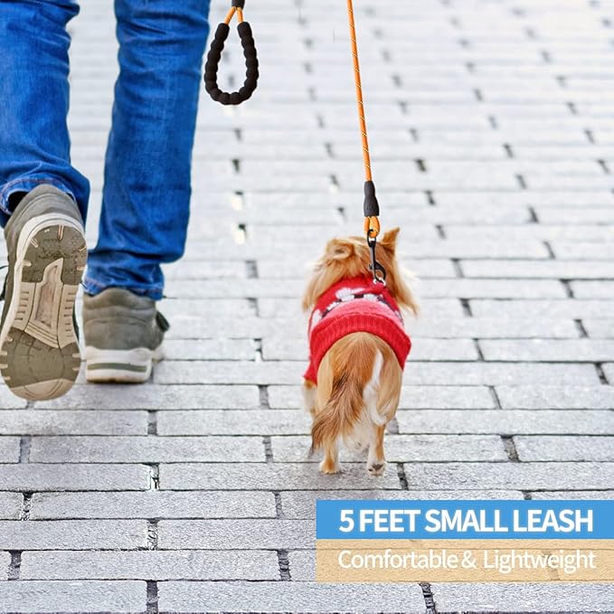 BAAPET 2/4/5/6 FT Dog Leash with Comfortable Padded Handle and Highly Reflective Threads for Small Medium and Large Dogs (5FT-1/3'', Orange) BAAPET