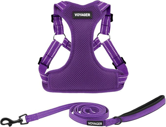 Best Pet Supplies Voyager Adjustable Dog Harness Leash Set with Reflective Stripes for Walking Heavy-Duty Full Body No Pull Vest with Leash D-Ring, Breathable All-Weather - Harness (Purple), S BestPetSuppliesLLC