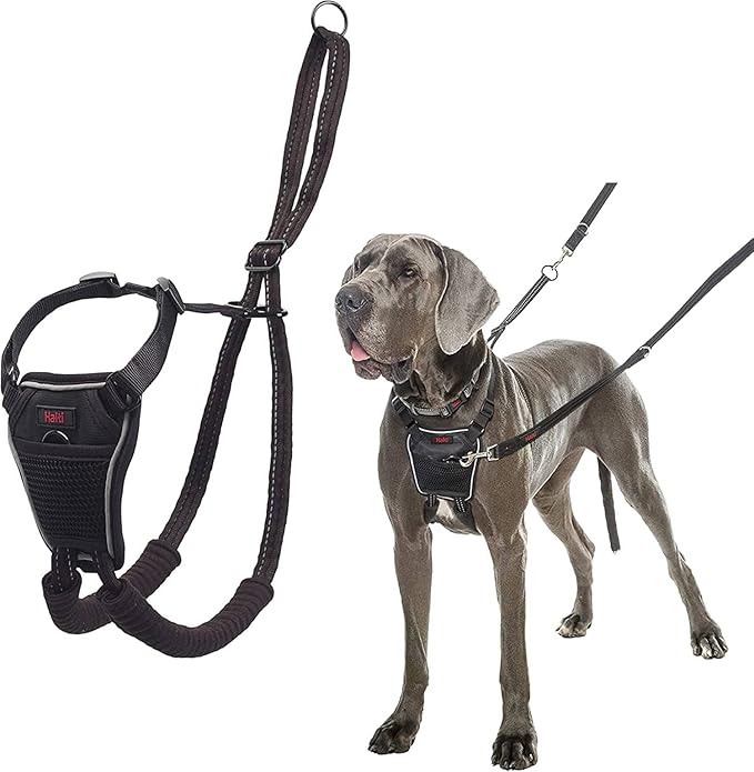 HALTI No Pull Harness - to Stop Your Dog Pulling on The Leash. Adjustable, Lightweight and Easy to Use. Reflective Dog Training Harness for Large Dogs (Size L),Black CompanyofAnimals