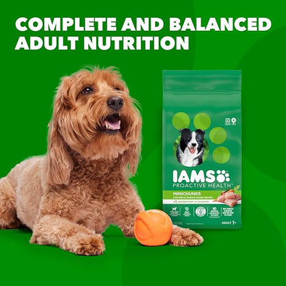 IAMS Proactive Health Minichunks Adult Dry Dog Food with Real Chicken and Whole Grains, 15 lb. Bag - PAWPICO