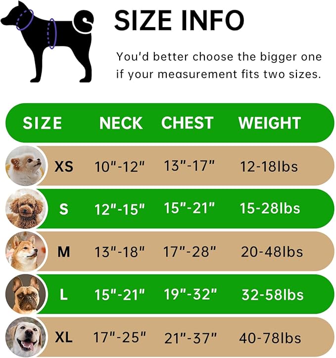 IVY&LANE No Pull Dog Harness for Large Dogs, Dog Vest Harness with Leash, Safety Belt and Storage Strap, Fully Adjustable Harness, 360° Reflective Strip, Soft Handle (Green, L) IVYLANE