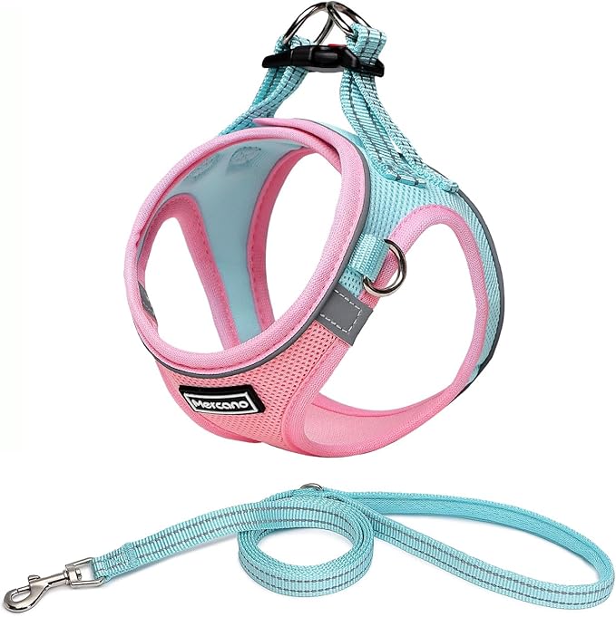 Mercano Soft Mesh Dog Harness and Leash Set, No-Chock Step-in Reflective Breathable Lightweight Easy Walk Escape Proof Vest Harnesses with Safety Buckle for Small Medium Dogs, Cats (XS, Pink Blue) PAWPICO