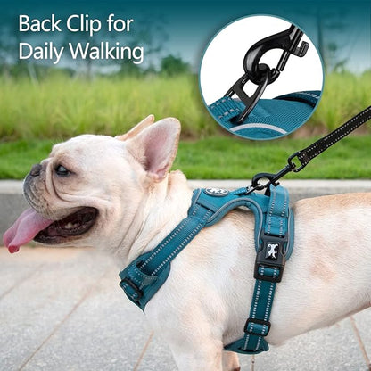 PoyPet No Pull Dog Harness, No Choke Reflective Dog Vest, Adjustable Pet Harnesses with Easy Control Padded Handle for Small Medium Large Dogs(Tumalo Teal,L) PoyPet