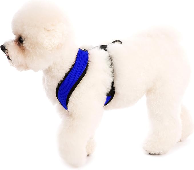 Gooby Comfort X Head In Harness - Blue, Medium - No Pull Small Dog Harness, Patented Choke-Free X Frame - Perfect on the Go Dog Harness for Medium Dogs No Pull or Small Dogs for Indoor and Outdoor Use Gooby