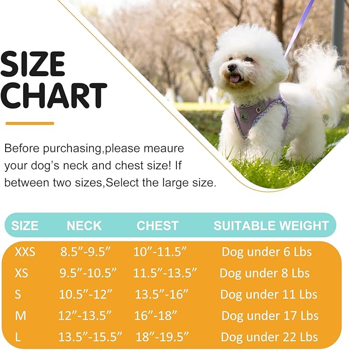 Dog Harness and Leash Set, No Pull Pet Harness for Small Dogs Easy Walking,Soft Breathable Small Dog Harness,Adjustable Reflective Step in Vest Harness for Puppy,Kitten, Cats TomteNisse