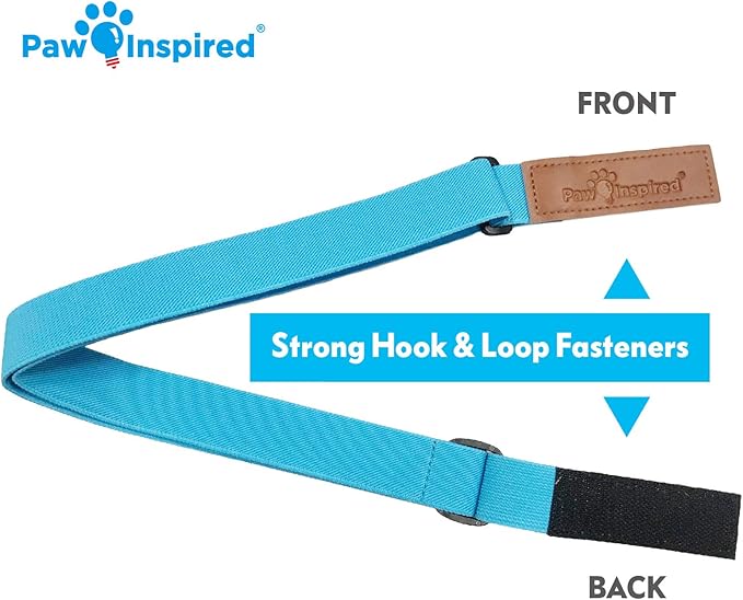 Paw Inspired Dog Diaper Suspenders with Velcro Fasteners | Stretchy Adjustable Suspenders for Female and Male Disposable and Washable Diapers | Fits Small, Medium and Large Size Pets (S/M, Blue) - PAWPICO