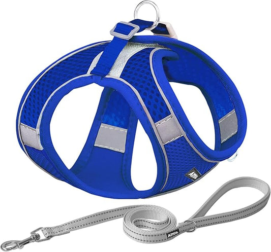 AIITLE Comfortable Dog Harness and Leash Set for Walking - Spring Step in Vest Harness,Reflective Bands, Adjustable No Pull Puppy Essentials, for Small Dogs and House Cats Royal Blue XS AIITLE-FORPETSBETTERLIFE