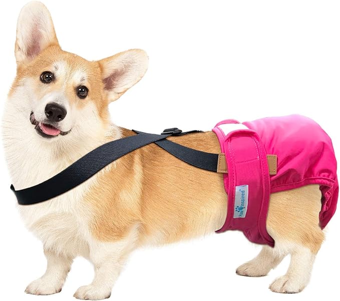 Paw Inspired Dog Diaper Suspenders with Velcro Fasteners | Stretchy Adjustable Suspenders for Female and Male Disposable and Washable Diapers | Fits Small, Medium and Large Size Pets (M/L, Black) - PAWPICO