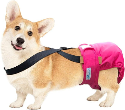 Paw Inspired Dog Diaper Suspenders with Velcro Fasteners | Stretchy Adjustable Suspenders for Female and Male Disposable and Washable Diapers | Fits Small, Medium and Large Size Pets (M/L, Black) - PAWPICO