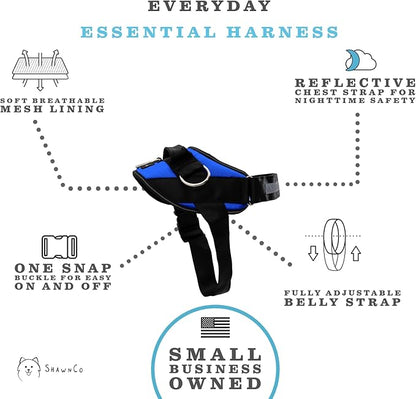 ShawnCo Essential Dog Harness, No-Pull Pet Vest with 3 Leash Clips, No Choke, Reflective, Adjustable and Padded, for Easy Walking and Training for Small, Medium and Large Dogs (Electric Blue,M) SHAWNCO