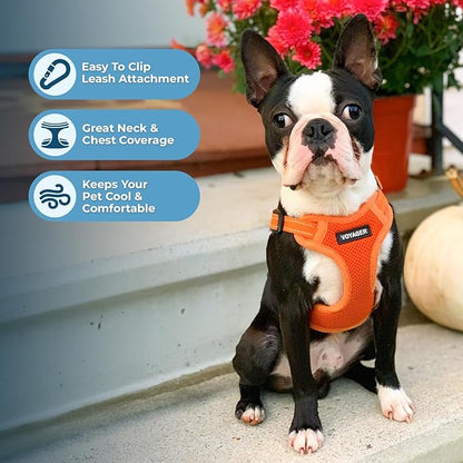 Best Pet Supplies Voyager Adjustable Dog Harness Leash Set with Reflective Stripes for Walking Heavy-Duty Full Body No Pull Vest with Leash D-Ring, Breathable All-Weather - Harness (Orange), S BestPetSuppliesLLC