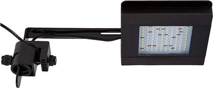 Fluval SEA Marine Nano LED Aquarium Lighting with Bluetooth, 20 Watts,Glass Fluval