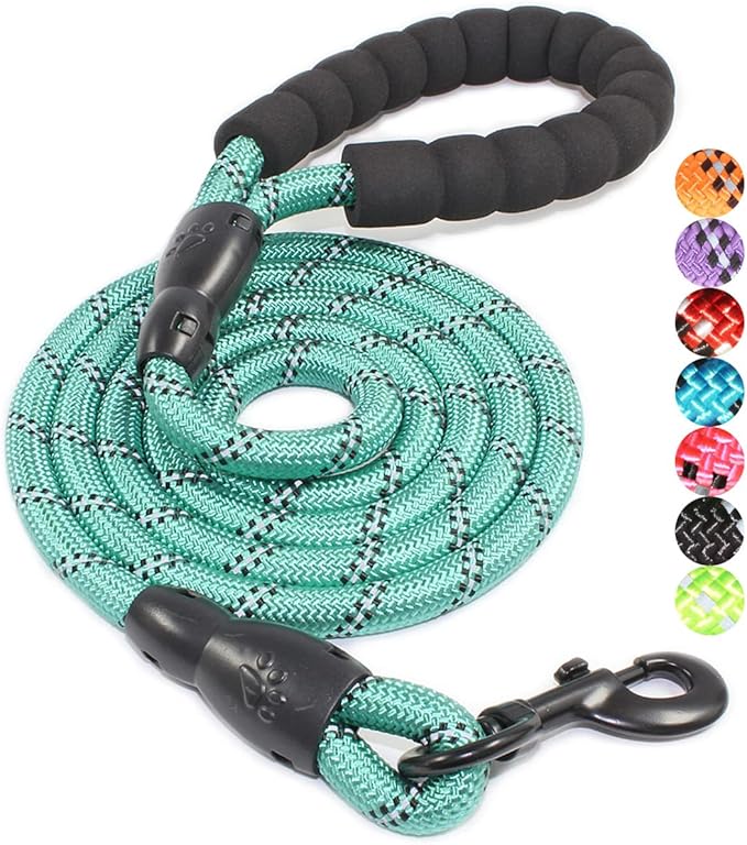 BAAPET 2/4/5/6 FT Dog Leash with Comfortable Padded Handle and Highly Reflective Threads for Small Medium and Large Dogs (5FT-1/2'', Turquoise) BAAPET
