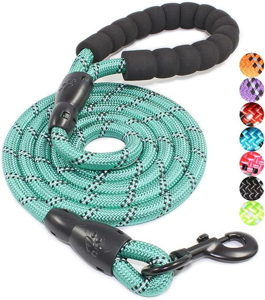 BAAPET 2/4/5/6 FT Dog Leash with Comfortable Padded Handle and Highly Reflective Threads for Small Medium and Large Dogs (5FT-1/2'', Turquoise) BAAPET