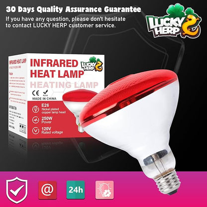 LUCKY HERP Infrared Heat Lamp for Chickens - 250 Watts Red Heat Lamp Bulb 1 Pack, Heat Light Bulb for Brooder Coop, Food Service, Chicks, Pet, Reptile LUCKYHERP