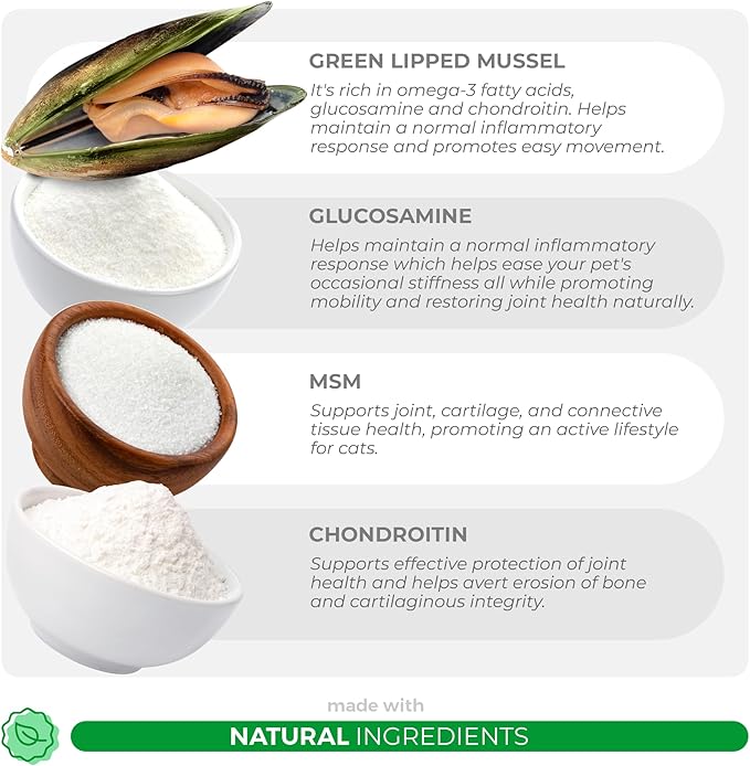 Glucosamine for Cats - 4.23oz/120g Powder - Hip and Joint Supplement for Cats with Green Lipped Mussel, MSM, Chondroitin, and Vitamin E (for Cats) CocoandLuna