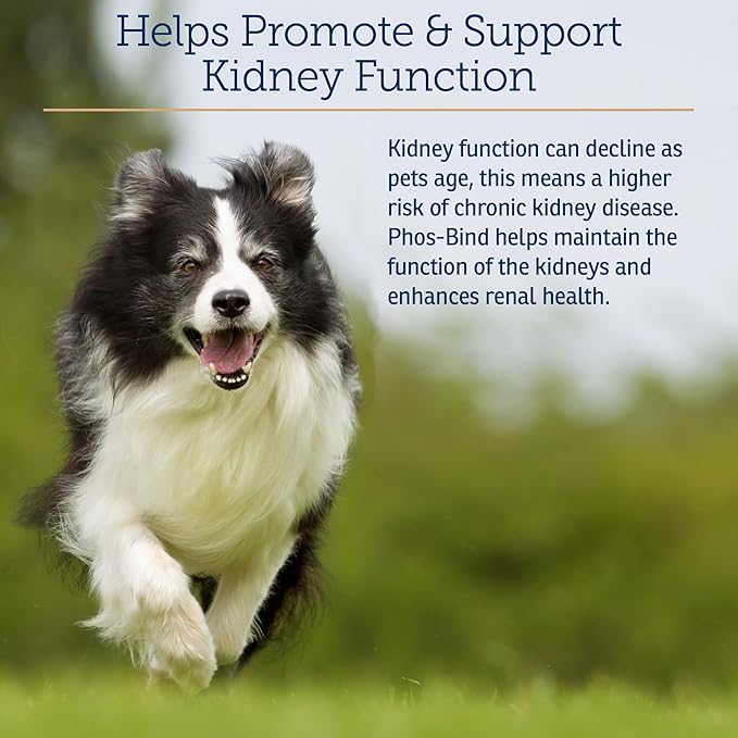 Rx Vitamins Phos-Bind - Kidney Support Supplement Powder - Phosphate Binder for Cats & Dogs for Kidney Health - Supports Normal Kidney Cleanse and Essential Kidney Care - 200g RxVitamins