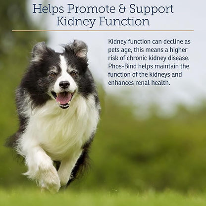 Rx Vitamins Phos-Bind - Kidney Support Supplement Powder - Phosphate Binder for Cats & Dogs for Kidney Health - Supports Normal Kidney Cleanse and Essential Kidney Care - 200g RxVitamins