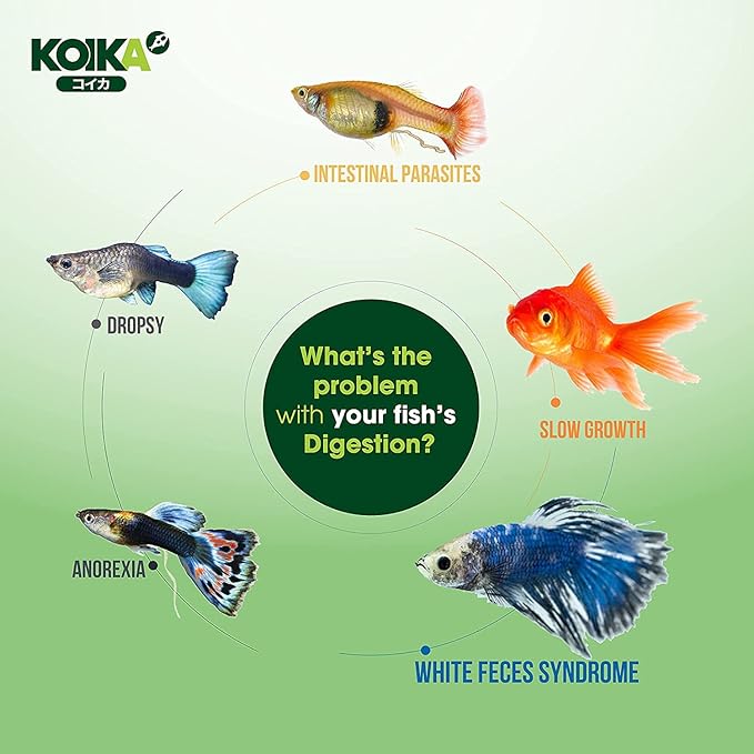 KOIKA BAC+ Aquarium Probiotics, Pleasant Smell, Immunity Boosting, Disease Resistance (BAC+ (New Formula), 120ml) Koika