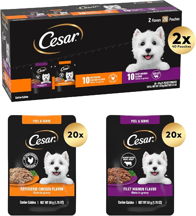 Cesar Filets in Gravy Wet Dog Food Filet Mignon Flavor and Rotisserie Chicken Flavor Variety Pack, 1.76 oz. Mini-Pouches, 20 Pack (Pack of 2) - PAWPICO