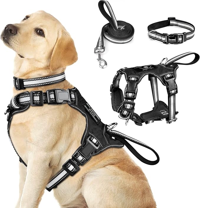 WINSEE Pet Harness Collar and Leash Set, All-in-one Reflective Dog Harness No Pull with Adjustable Buckles for Puppies, Small, Medium, Large, and Extra-Large Dogs (Large, Black) WINSEE