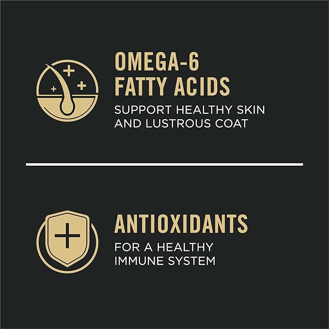 Purina Pro Plan Sensitive Skin and Stomach Dog Food Dry, Adult Salmon & Rice Formula, Digestive Health - 4 lb. Bag - PAWPICO