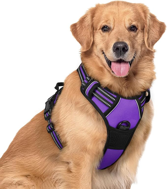 rabbitgoo Dog Harness No Pull with 2 Leash Clips, Adjustable Soft Padded, Reflective Oxford No Choke Pet Vest with Easy Control Handle for Large Dogs, Purple, XL rabbitgoo