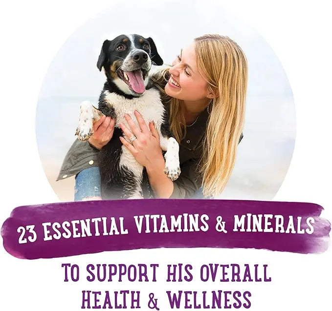 Beneful Purina Gravy Wet Dog Food, Prepared Meals Simmered Beef Entree - (8) 10 oz. Tubs (Pack of 2) - PAWPICO