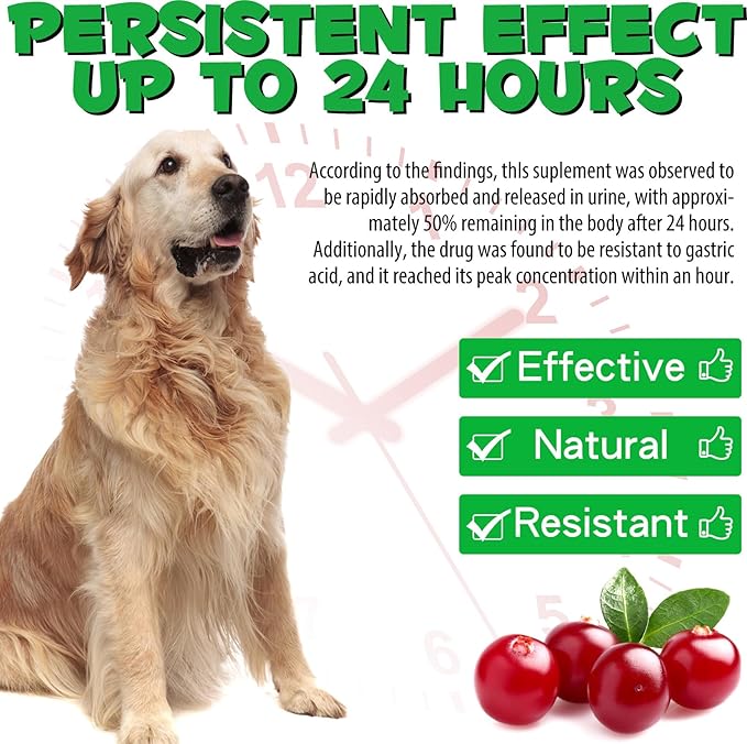 Urinary Tract for Dogs, Natural Dog Urinary Tract Infection Treatment Drops - Supports Bladder, Kidney Stone, Dog UTI, Pet Supplement Renal Health Care Drops, Bacon Flavor - 60ml / 2.02oz PAWPICO