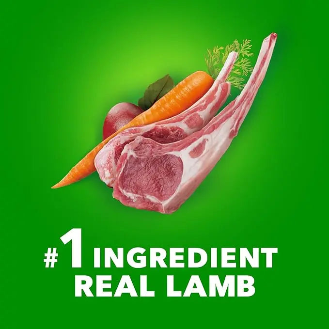 Iams Large Breed Adult Dry Dog Food Lamb & Rice Recipe, 40 lb. Bag - PAWPICO