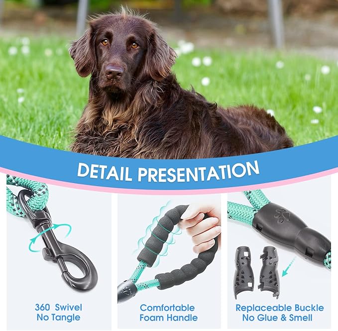 BAAPET 2/4/5/6 FT Dog Leash with Comfortable Padded Handle and Highly Reflective Threads for Small Medium and Large Dogs (5FT-1/2'', Turquoise) - PAWPICO