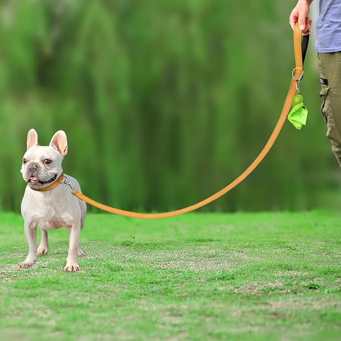 Joytale Double-Sided Reflective Dog Leash, 6 FT/5 FT/4 FT, Padded Handle Nylon Heavy Duty Leashes for Small & Medium Dogs Walking, Khaki, 4FT Joytale