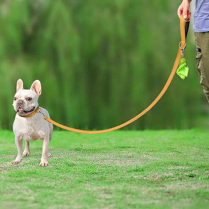 Joytale Double-Sided Reflective Dog Leash, 6 FT/5 FT/4 FT, Padded Handle Nylon Heavy Duty Leashes for Small & Medium Dogs Walking, Khaki, 5FT Joytale