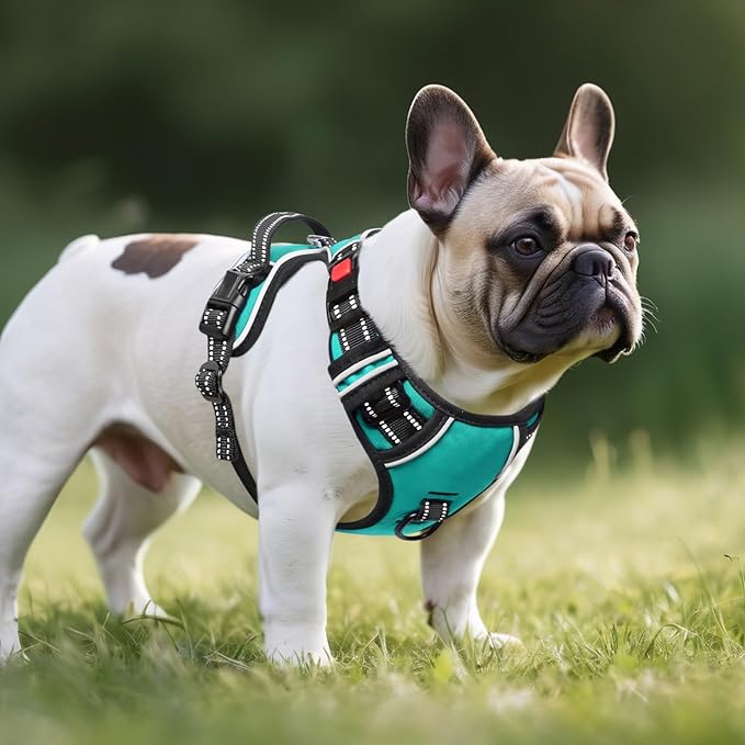 Timos No Pull Dog Harness,NO Need Go Over Dogs Head 3 Snap Buckles Reflective Oxford No Choke Puppy Harness with Front & Back 2 Metal Leash Clips Soft Padded Vest Harnesses for Small Medium Large Dogs Timos