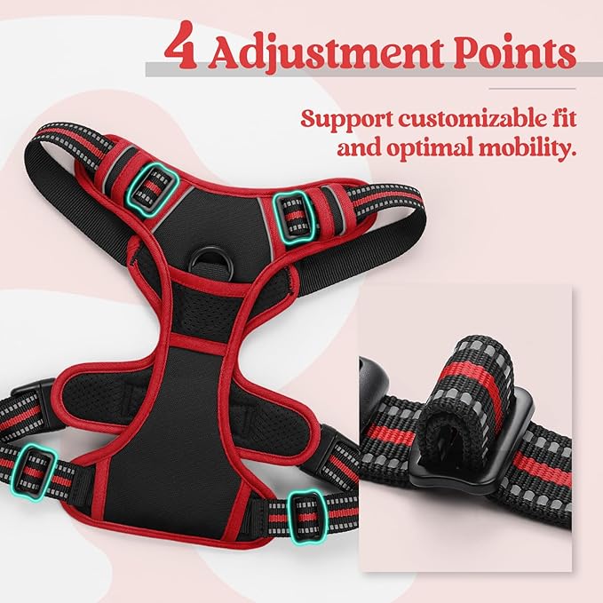 rabbitgoo Dog Harness No Pull with 2 Leash Clips, Adjustable Soft Padded, Reflective Oxford No Choke Pet Vest with Easy Control Handle for Medium Sized Dogs, Black & Red, M rabbitgoo