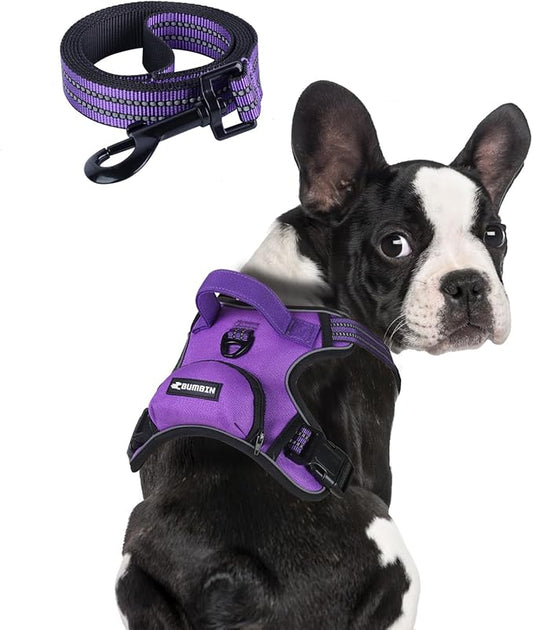 BUMBIN Dog Harness for Large Dogs, No Pull Adjustable No Choke Pet Vest with Dog Leash Fit Smart Reflective Pet Walking Harness for Training Easy Control Soft Handle Purple S BUMBIN