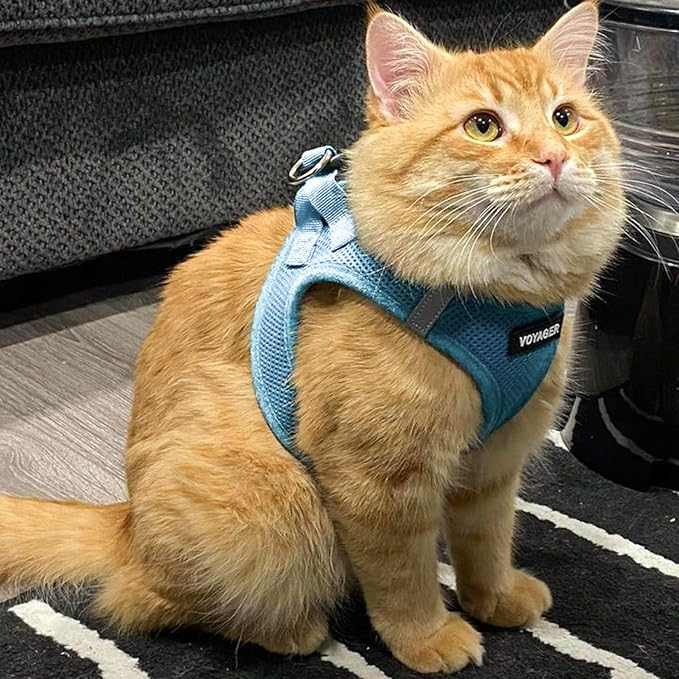 Voyager Step-In Air Dog Harness - All Weather Mesh, Reflective, No Pull Harness for Small, Medium Dogs, Cats - Secure with Hook & Loop Fastener, Buckle, Double D-Rings - Baby Blue, XXXS BestPetSuppliesLLC