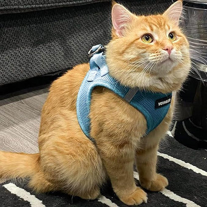 Voyager Step-In Air Dog Harness - All Weather Mesh, Reflective, No Pull Harness for Small, Medium Dogs, Cats - Secure with Hook & Loop Fastener, Buckle, Double D-Rings - Baby Blue, XXXS BestPetSuppliesLLC