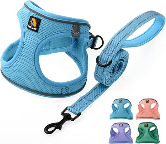 BELLA & PAL Puppy Harness with Leash Set, Dog Harness for Small Dogs No Pull, Dog Leash for Small Dogs, Step in Harness for Extra Small Dogs, Blue Harness, XXS BELLAPAL